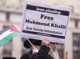 Mahmoud-Khalil