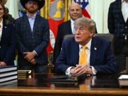 Trump dice que México no tiene nada que ofrecer a EE.UU., solo "tamales picantes y tomates" Donald Trump