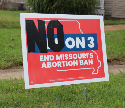 El aborto vuelve a tener presencia en las papeletas YardSign