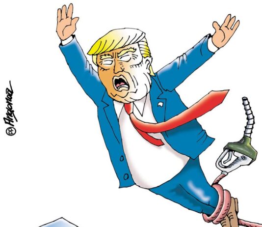 Elecciones de medio tiempo caricatura
