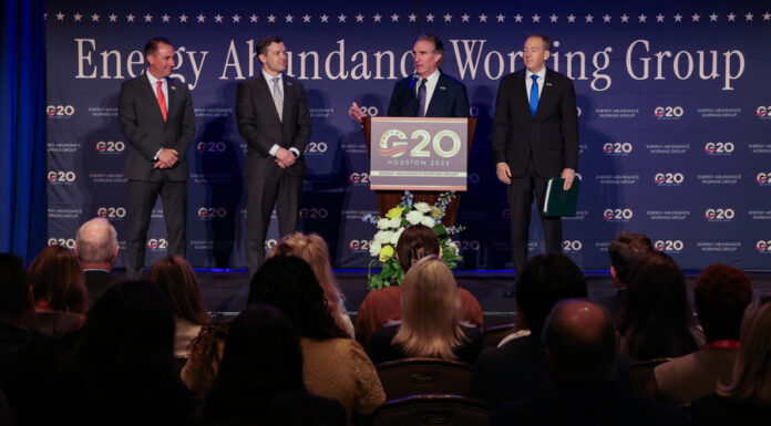 Primer día de reuniones de Energía del G20