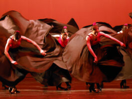 'Mi sueño cubano', un retrato de Lizt Alfonso Dance Cuba y el poder transformador de danza 'Mi sueño cubano', un retrato de Lizt Alfonso Dance Cuba y el poder transformador de danza