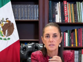 Sheinbaum niega usar drogas, durante su primera transmisión en vivo en redes sociales Sheinbaum
