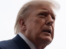 Trump reclama "elogios" para ICE por la detención del dominicano baleado en Nueva York Donald Trump