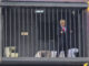 Una instalación en Teherán convierte a un encarcelado Trump en un espectáculo callejero