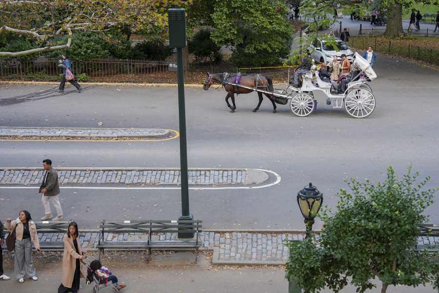 Nueva York aprueba la ley que prohibir&aacute; los carruajes tirados por caballos en junio 2028