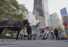 Nueva York aprueba la ley que prohibirá los carruajes tirados por caballos en junio 2028