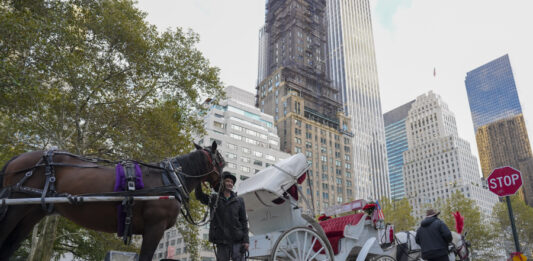 Nueva York aprueba la ley que prohibirá los carruajes tirados por caballos en junio 2028 Nueva York aprueba la ley que prohibirá los carruajes tirados por caballos en junio 2028