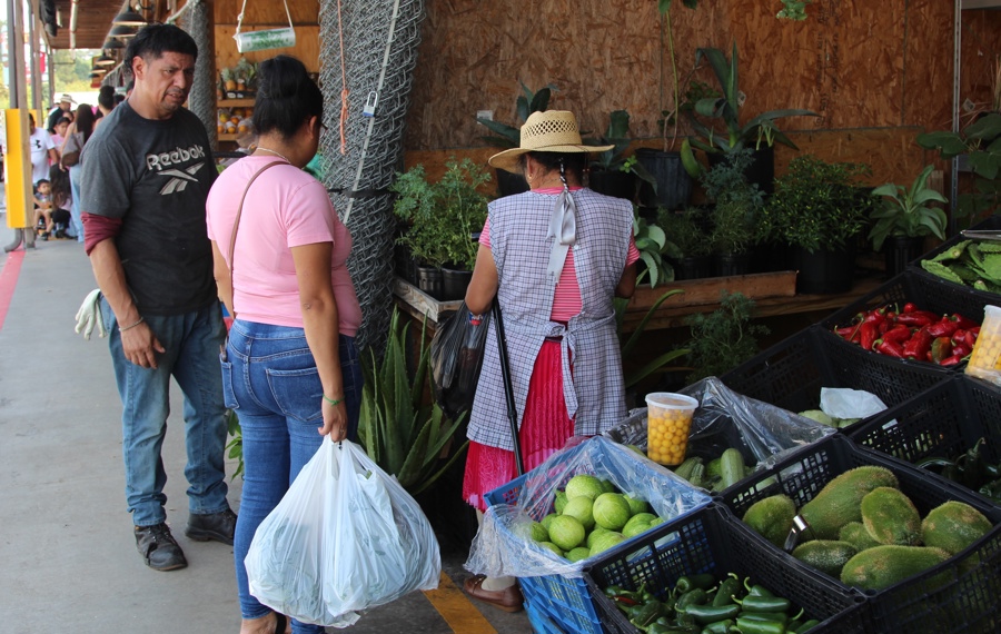 comerciante latinos