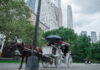 Trump cuestiona el fin de carruajes de caballos en Nueva York por "un solo accidente" Nueva York decide mañana si veta los carruajes de caballos tras accidente mortal