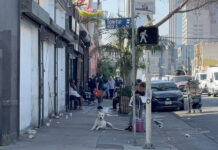 Las mascotas de Skid Row, la otra cara de la crisis de personas sin hogar en Los Ángeles