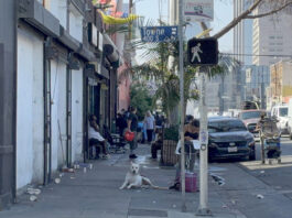 Las mascotas de Skid Row, la otra cara de la crisis de personas sin hogar en Los Ángeles