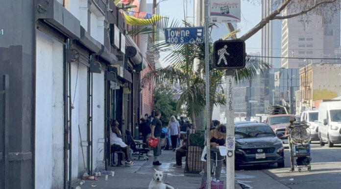Las mascotas de Skid Row, la otra cara de la crisis de personas sin hogar en Los Ángeles Las mascotas de Skid Row, la otra cara de la crisis de personas sin hogar en Los Ángeles